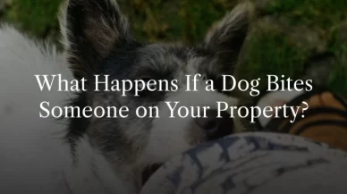 What Happens If a Dog Bites Someone on Your Property?
