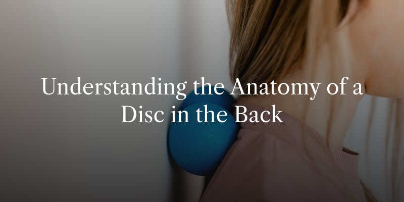 Understanding the Anatomy of a Disc in the Back