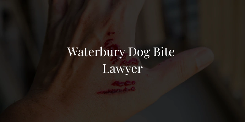 Waterbury Dog Bite Lawyer