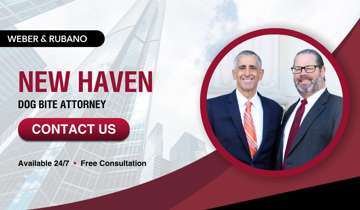 New Haven Dog Bite Attorney