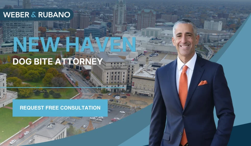 New Haven Dog Bite Attorney